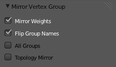 ../../../_images/sculpt-paint_painting_weight-paint_wtools_mirror_options.jpg